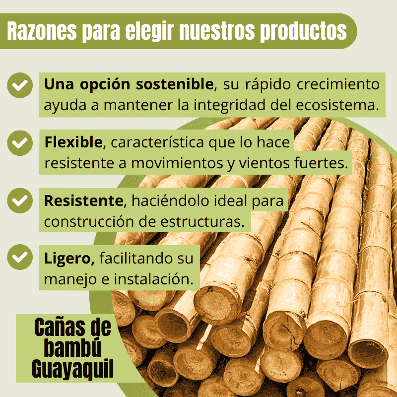1- CAÑAS DE BAMBÚ