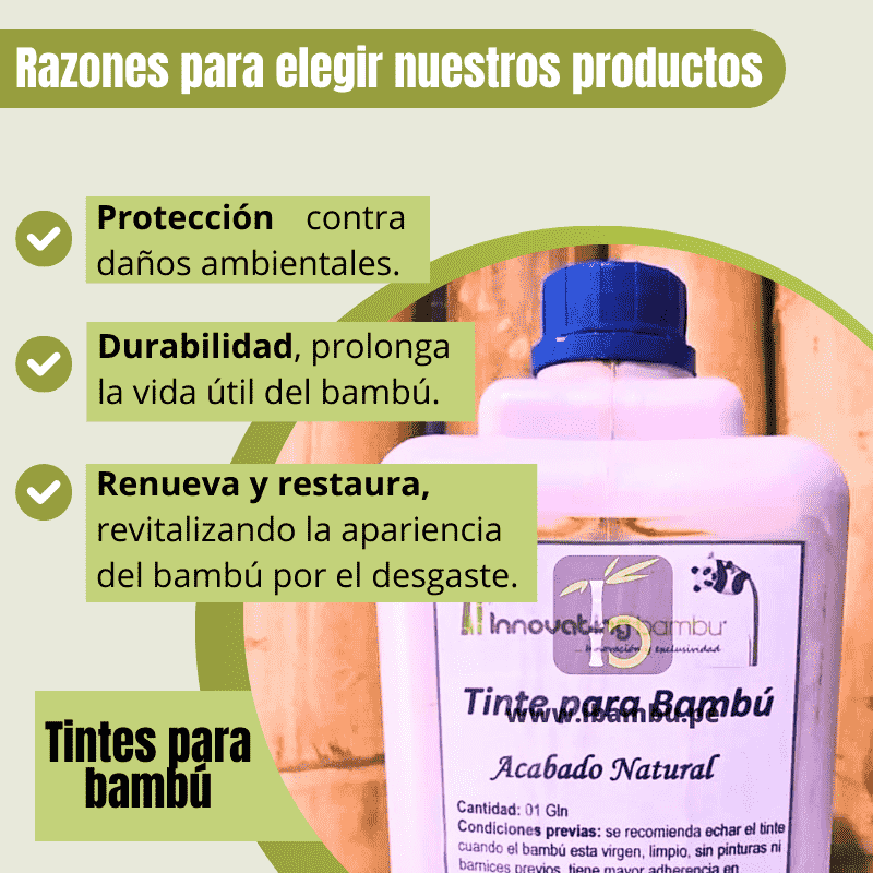 5- MANTENIMIENTO